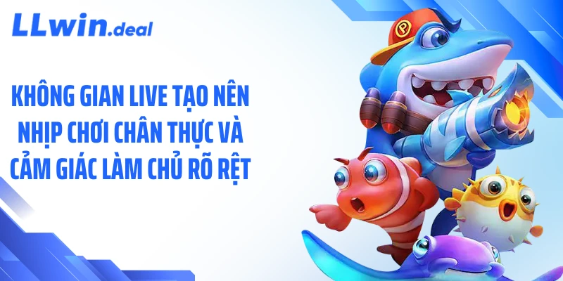 Không gian live tạo nên nhịp chơi chân thực và cảm giác làm chủ rõ rệt